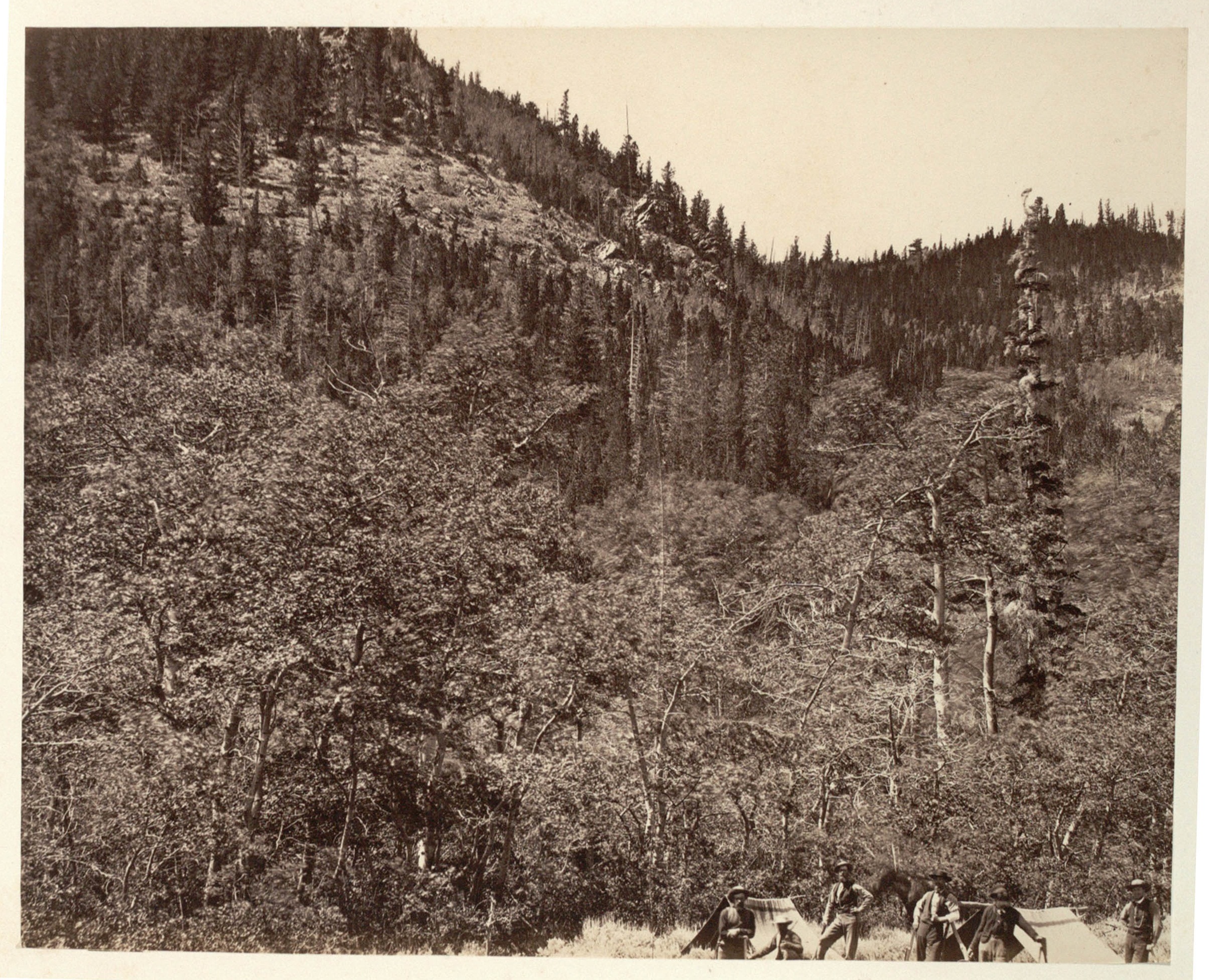 transcontinental railroad essay transcontinental railroad essay