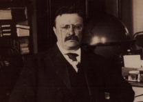 Theodore Roosevelt at his desk in the White House, 1902, photograph by Underwood and Underwood. (Gilder Lehrman Collection)