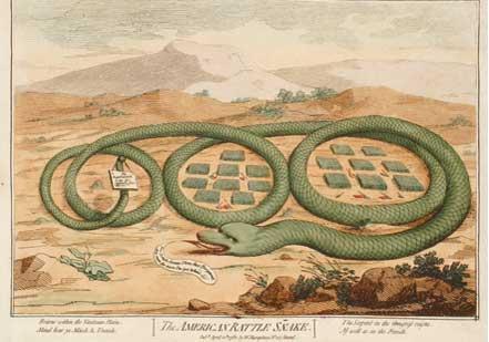 The American Rattle Snake, 1782 (New-York Historical Society) The American Rattle Snake, 1782 (New-York Historical Society)