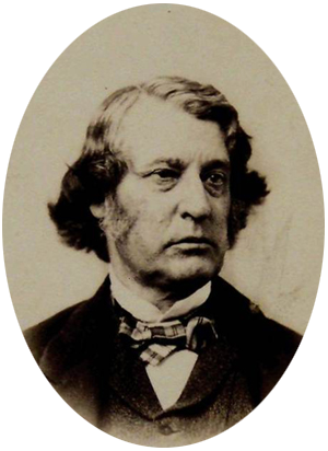 Charles Sumner, from a carte-de-visite, ca. 1870 (The Gilder Lehrman Institute, GLC02095.41)