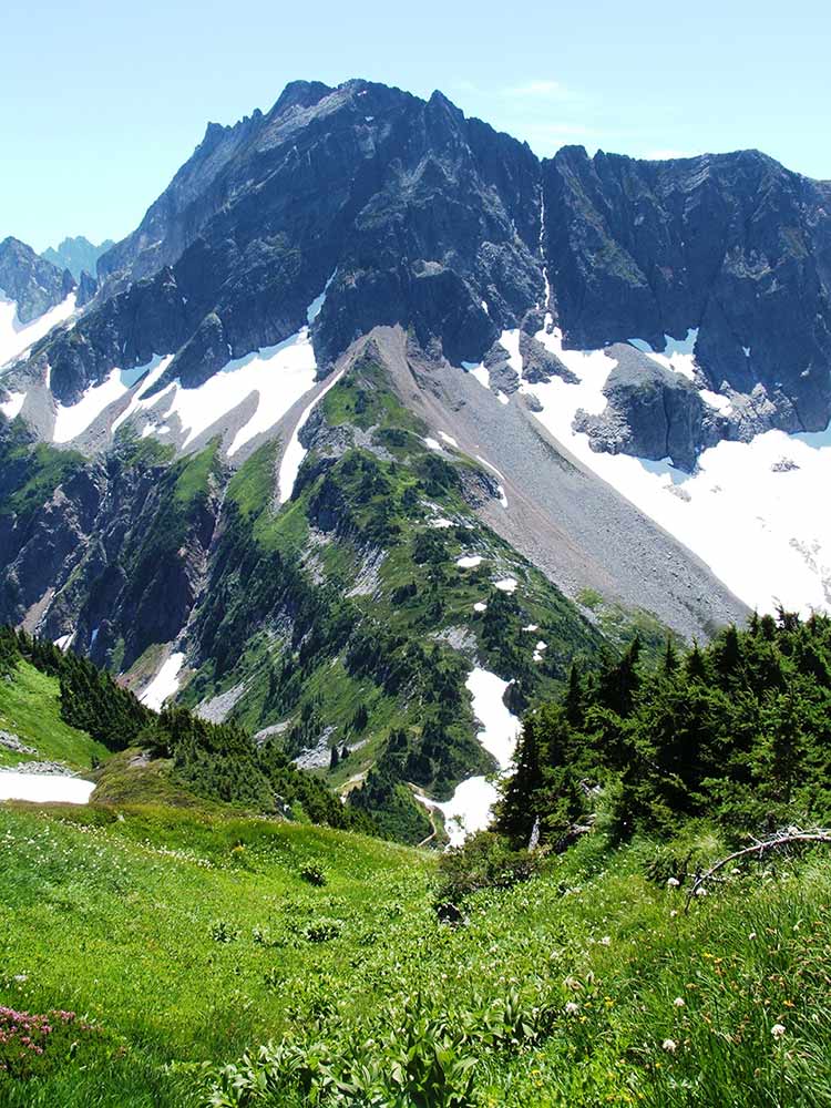 Facing south, glaciers and alpine summits surround Cascade Pass, seen far below, in photo one-third up from bottom center (Photo courtesy of Robert R. Mierendorf, July 2006)