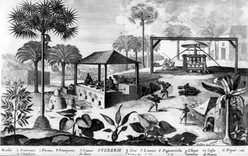 Manufacture of Sugar, Histoire Generale des Antilles, 1667 (Library of Congress,  LC-USZ62-72098)