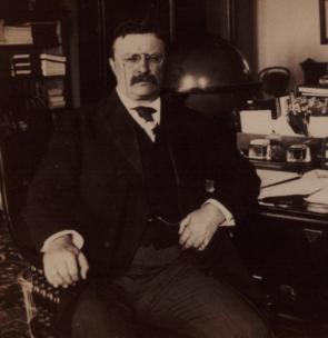 Theodore Roosevelt at his desk in the White House, 1902. (Gilder Lehrman Coll.)