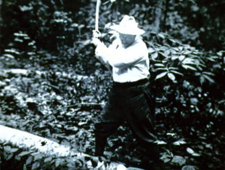 Theodore Roosevelt chopping wood at Sagamore Hill, c.1905. Theodore Roosevelt chopping wood at Sagamore Hill, c.1905.