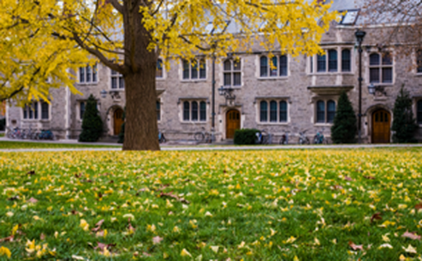 Princeton University