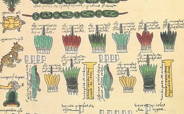 Codex Mendoza page