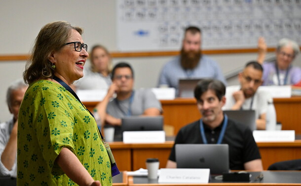 A woman wearing a green shirt addresses a group during a professional development training session.