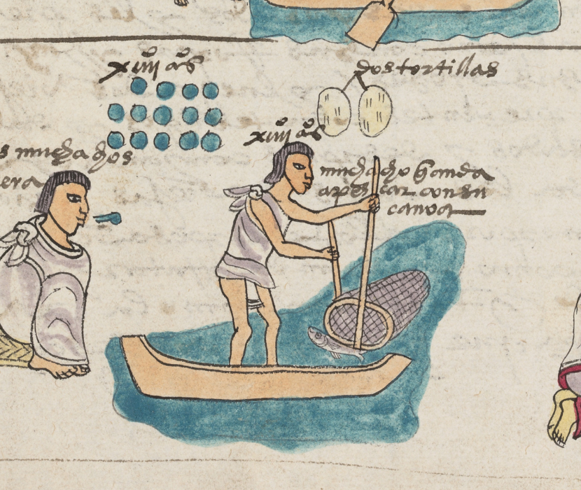 Detail from codex mendoza (ca. 1540) showing an Aztec person fishing
