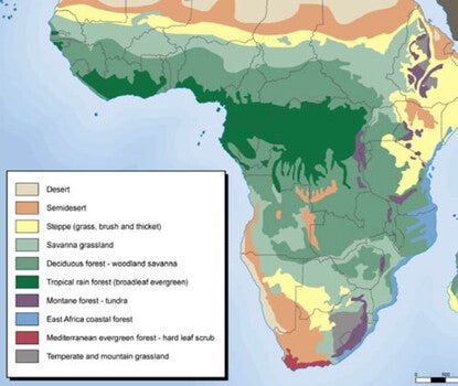 Color-coded map of Africa noting different vegetation zones