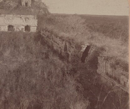 A stereoscope card of a field of sisal fibers with a house in the background leading to a Mexican pyramid.