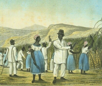 Black women wearing white shirts (with a blue ridged neckline) and blue skirts, and Black men in white shirts, white pants, and brown hats, cutting sugar cane.