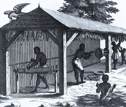 An engraving shows four people doing various tasks with harvested tobacco in an open shed, including pulling pieces of the leaves apart, and winding rope. 