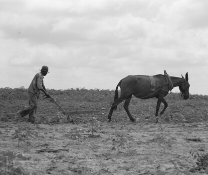 A black-and-white photograph of a Black man wearing a dark hat, jacket, pants, and boots, behind a plow pulled by a horse through a field.