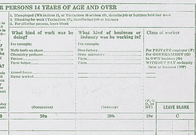 Sample question in 1950 Census popluation schedule with numerical answers