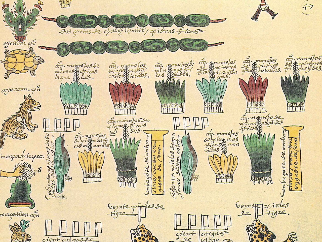 Codex Mendoza page