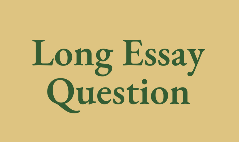 Long Essay Question