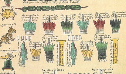 Codex Mendoza page