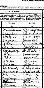 1950 Census with focus on the "place of birth" column for a person's father and mother