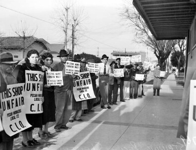 Striking pecan shellers picketing on the sidewalk in front of the Southern Pecan Shelling Company, San Antonio, TX, 1938.