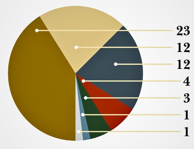 Pie Chart showing occupations of the declaration signers