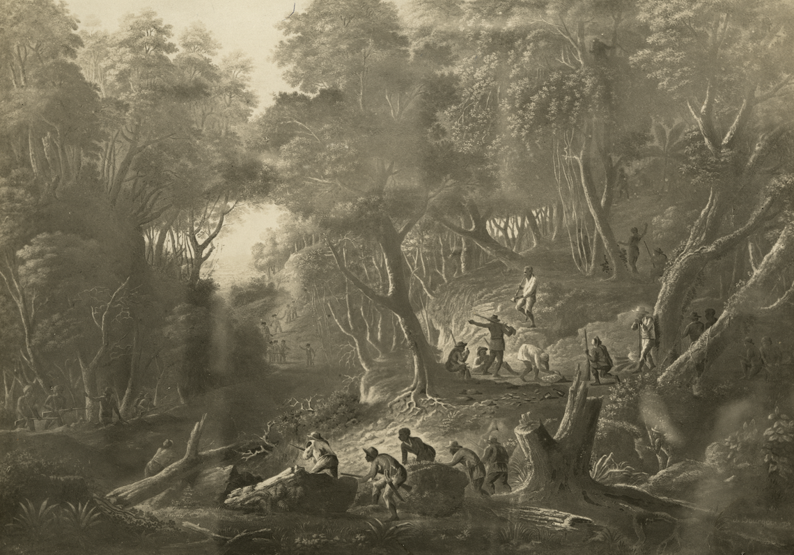 An engraving showing two dozen armed Black men in the foreground hidden along a forested path and hillside watching a group of White men in military dress coming down the path in the distance