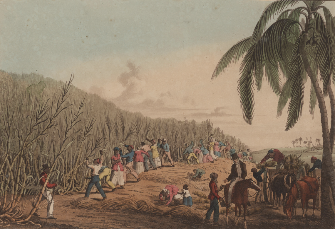 Enslaved Black people cut the sugar cane and load the bundles or junks into a horse-drawn cart. The plantation owner on a horse speaks to a Black overseer. Includes cutting bills or knives, coconut palms, and a windmill in the distance.